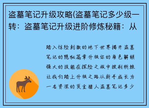 盗墓笔记升级攻略(盗墓笔记多少级一转：盗墓笔记升级进阶修炼秘籍：从新手到资深莫金猎人)